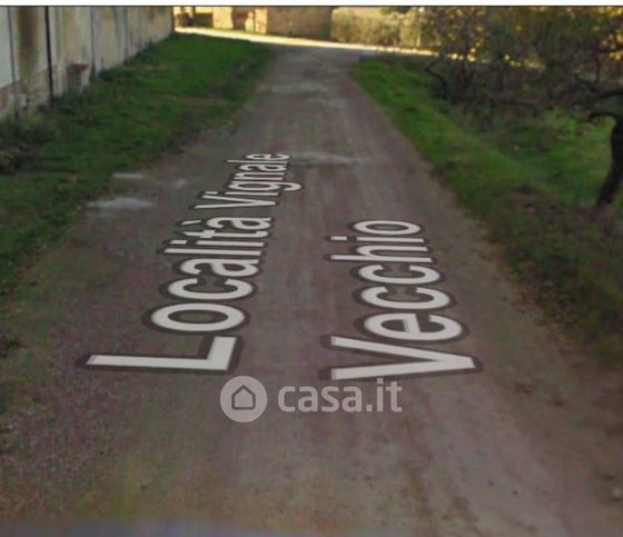 Terreno agricolo in commerciale in LocalitÃ  Vignale Vecchio 5