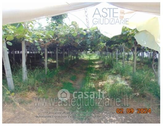 Terreno agricolo in commerciale in Strada della Cooperativa