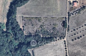 Terreno agricolo in commerciale in Via Casale del Ferraccio