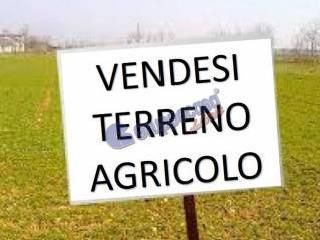 Terreno agricolo in commerciale in Via Matiera