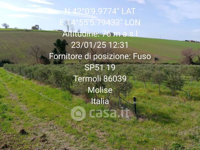 Terreno agricolo in commerciale in Contrada Demanio Spugne