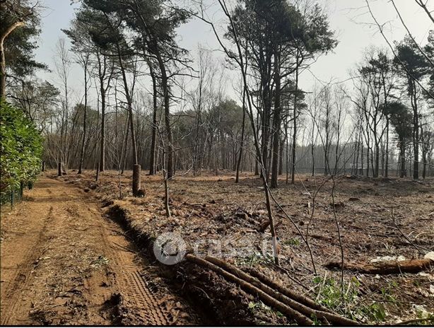 Terreno agricolo in commerciale in Via per Casorate