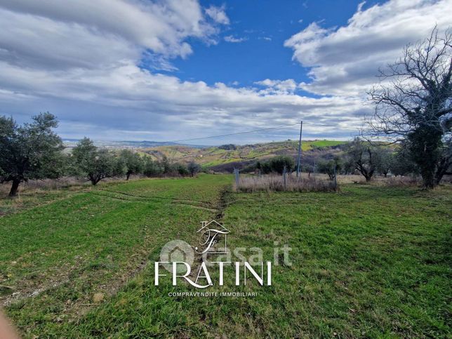 Terreno agricolo in commerciale in Frazione Sant'Andrea