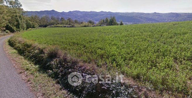 Terreno agricolo in commerciale in Regione Brichetto