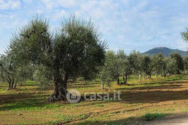 Terreno agricolo in commerciale in 