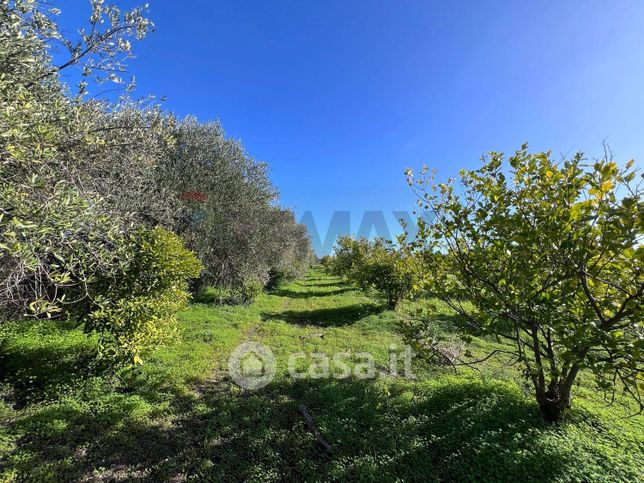 Terreno agricolo in commerciale in Contrada San Calogero