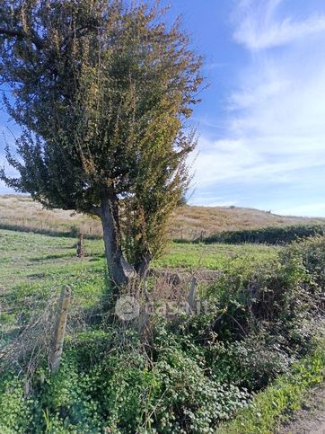 Terreno agricolo in commerciale in Via Bellino