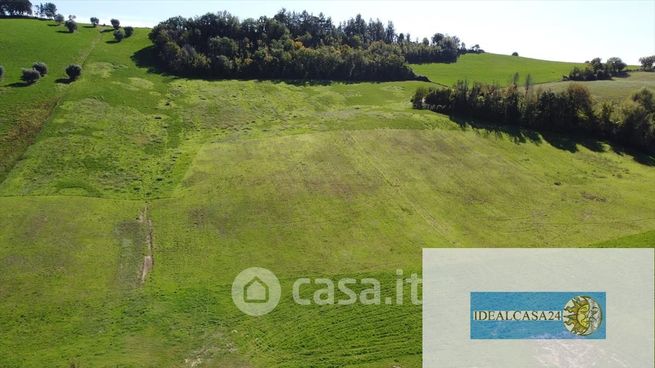 Terreno edificabile in residenziale in Contrada Ponte Tavole