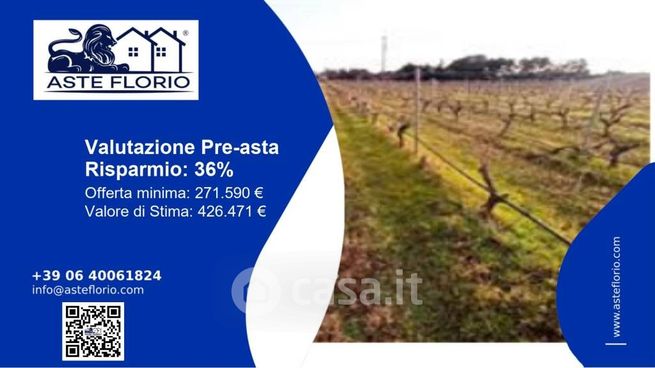 Terreno agricolo in commerciale in Contrada Monte Ciminiello