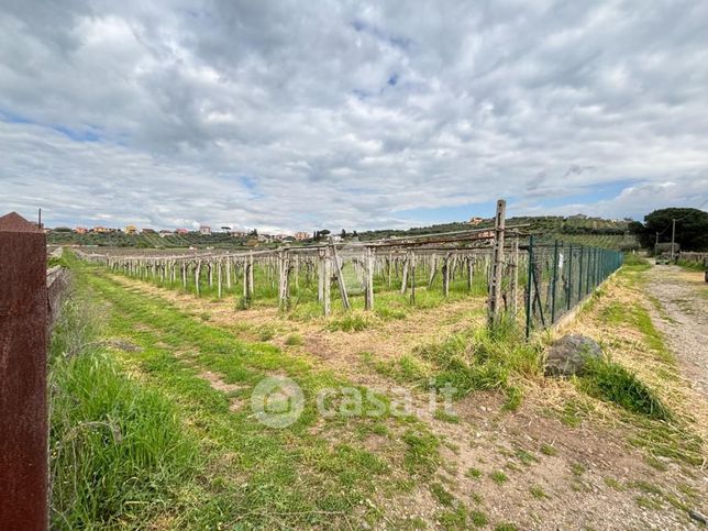 Terreno agricolo in commerciale in Vicolo di Pantano Secco