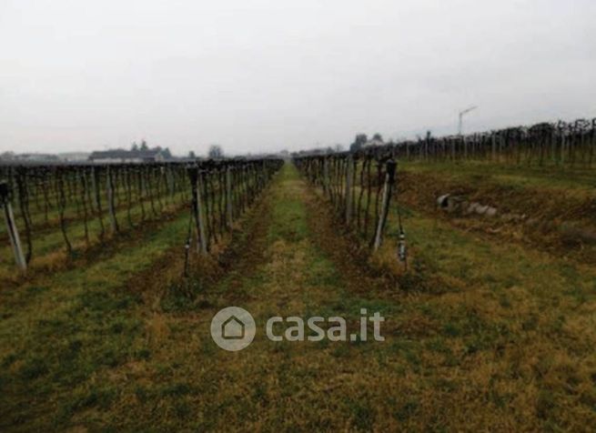 Terreno agricolo in commerciale in Via Pigno
