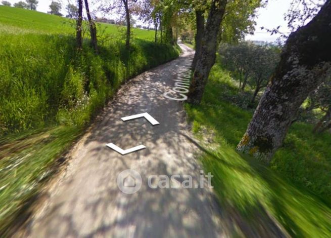 Terreno agricolo in commerciale in Contrada Paterno