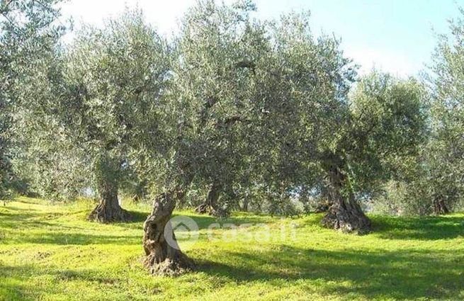 Terreno agricolo in commerciale in 