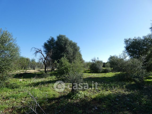 Terreno agricolo in commerciale in Contrada Chiusazza