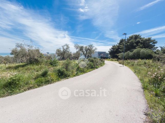 Terreno agricolo in commerciale in 