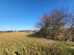 Terreno agricolo in commerciale in 