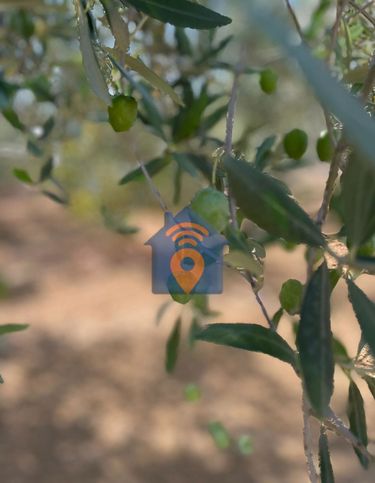 Terreno agricolo in commerciale in Contrada Margi Sottana