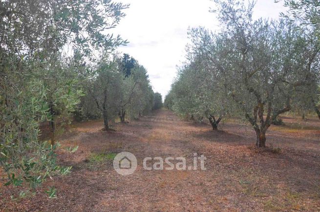 Terreno agricolo in commerciale in Località Fossoni