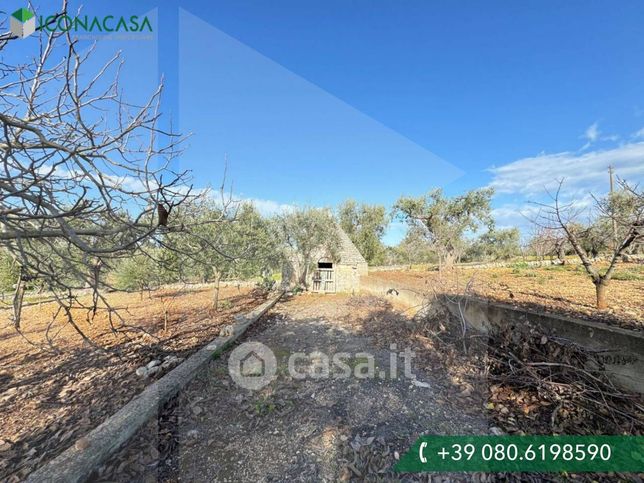 Baita/bungalow/chalet/trullo in residenziale in Contrada Romanazzi