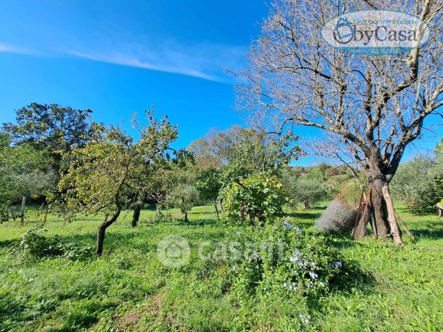 Terreno agricolo in commerciale in 