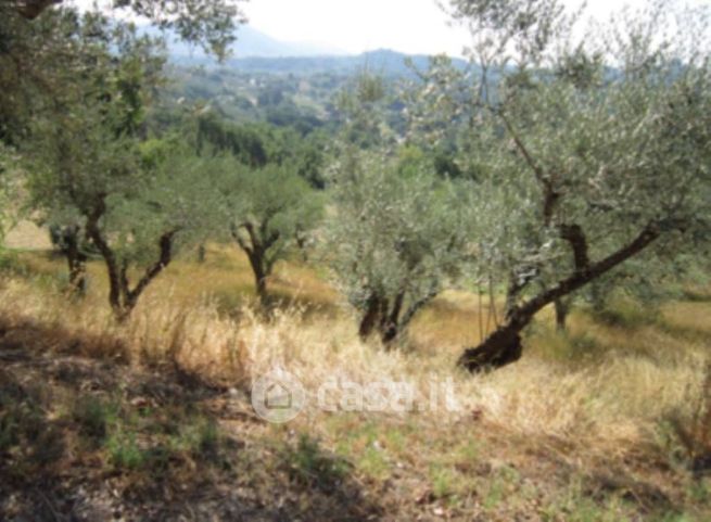 Terreno edificabile in residenziale in Contrada I Rotondi 139