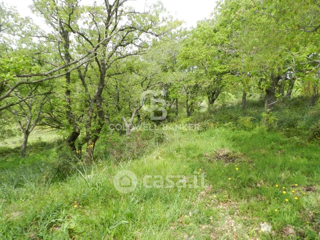 Terreno agricolo in commerciale in 