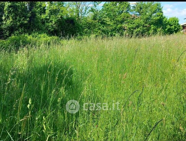 Terreno agricolo in commerciale in 