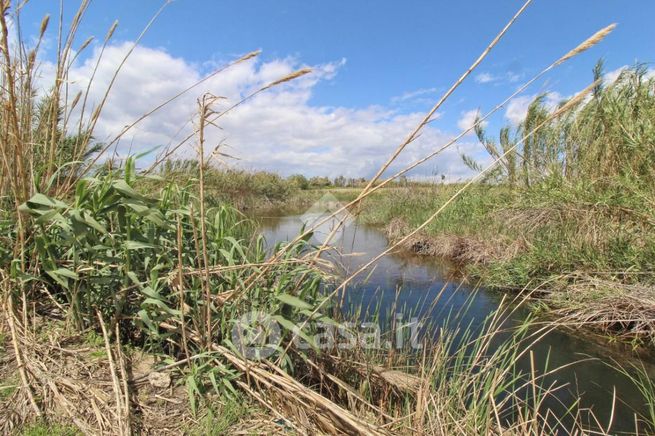 Terreno agricolo in commerciale in Contrada Anastasi