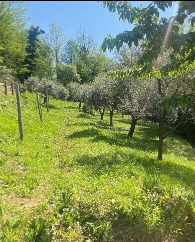 Rustico/casale in residenziale in 