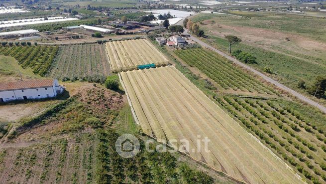 Terreno agricolo in commerciale in 