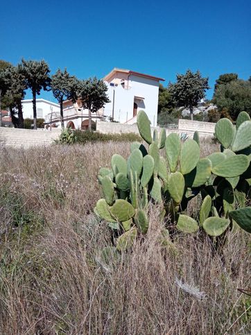 Terreno agricolo in commerciale in 