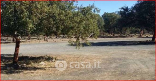 Terreno edificabile in residenziale in LocalitÃ  Nuraghe Losa