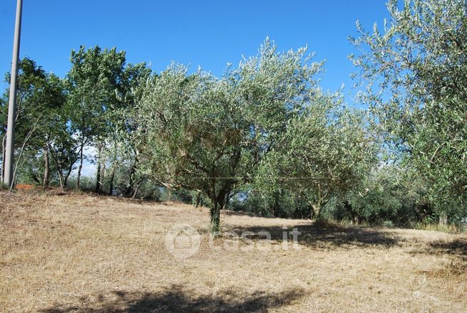 Terreno agricolo in commerciale in 