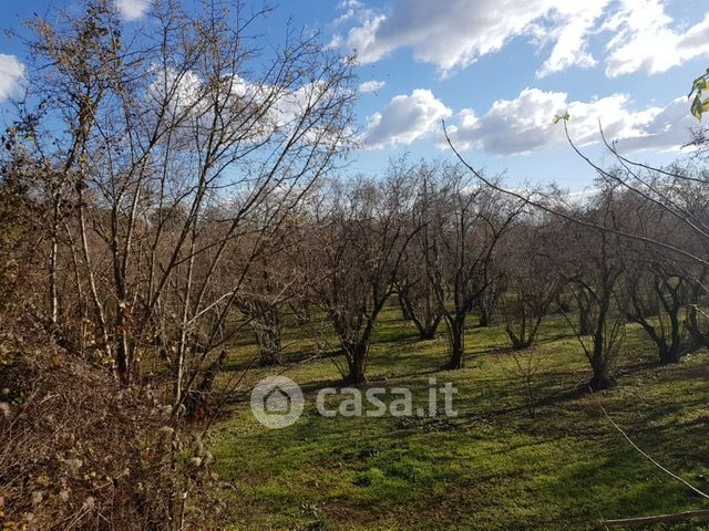 Terreno agricolo in commerciale in Via Chianello