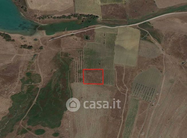 Terreno agricolo in commerciale in Galasi