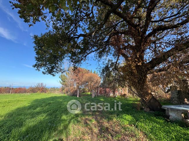 Terreno agricolo in commerciale in Località Genovese
