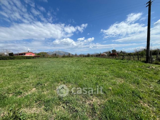 Terreno agricolo in commerciale in Colle Sant'Upica