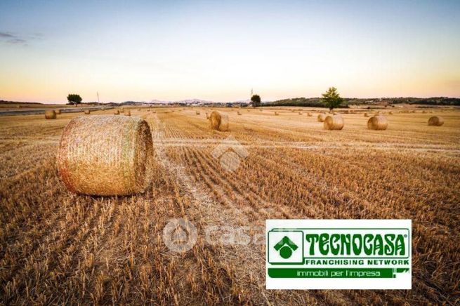 Terreno agricolo in commerciale in Strada Vicinale dei Boschi