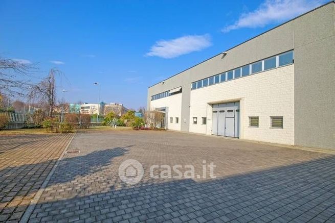 Capannone in commerciale in