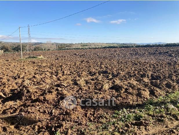 Terreno agricolo in commerciale in 