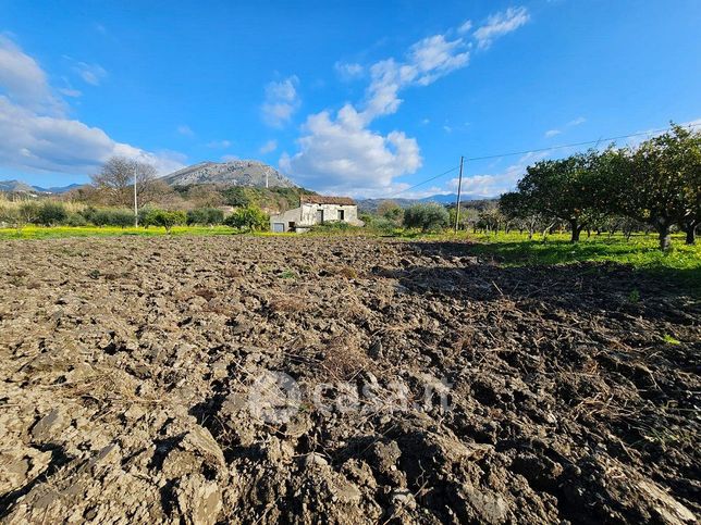 Terreno agricolo in commerciale in Contrada Marina