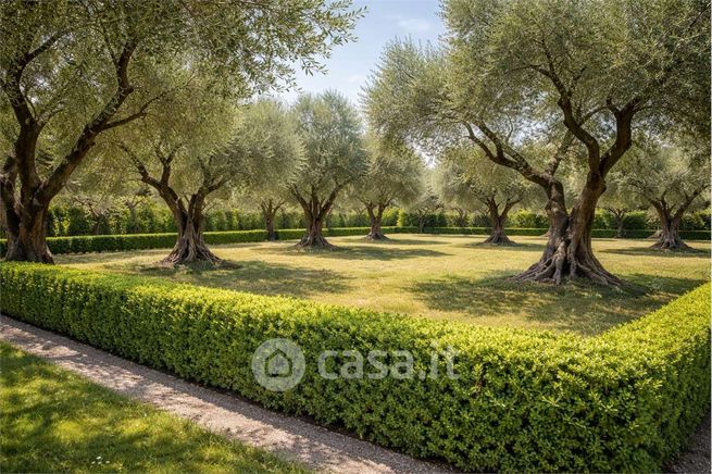 Terreno agricolo in commerciale in Contrada Bambina