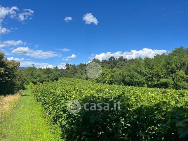 Terreno agricolo in commerciale in Via Puntara