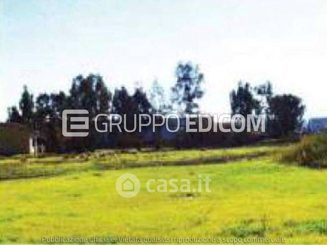 Terreno agricolo in commerciale in Contrada Pila