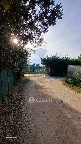 Terreno agricolo in commerciale in 