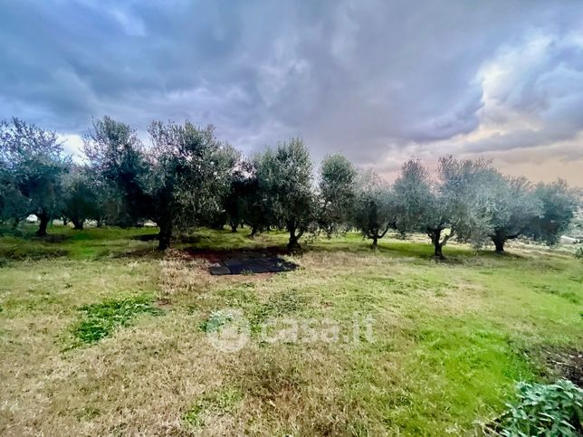 Terreno agricolo in commerciale in 