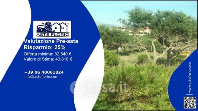 Terreno agricolo in commerciale in Contrada Cutusio