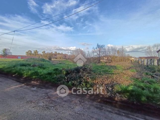 Terreno agricolo in commerciale in Via Ombrone