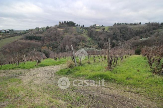 Terreno agricolo in commerciale in Via Madonna dell'Olivo 4727