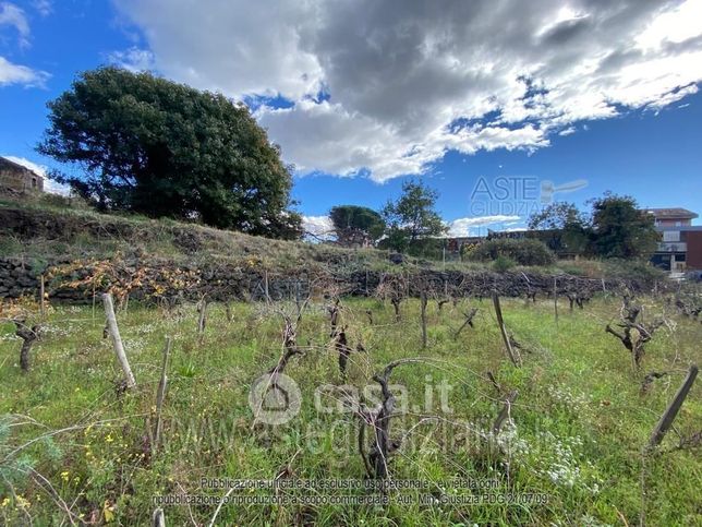 Terreno agricolo in commerciale in Via Fabio Filzi